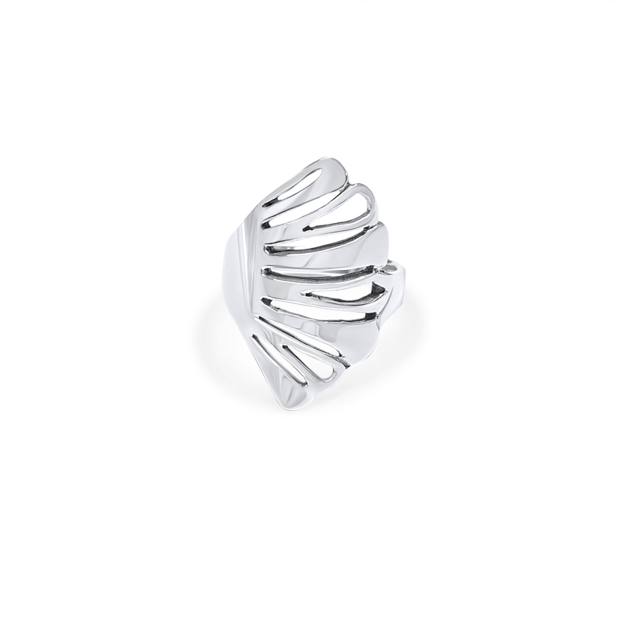 Silver polished ring