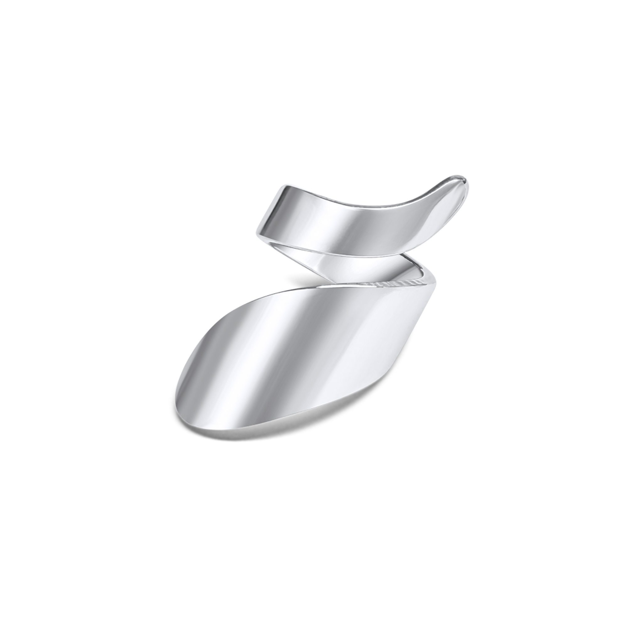 Stainless steel polished ring